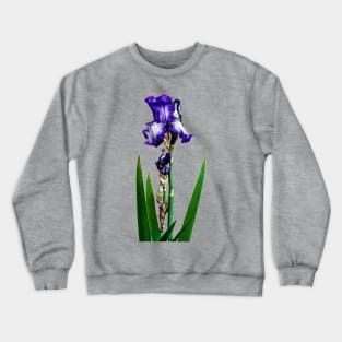 Irises - Lovely Purple Iris Crewneck Sweatshirt